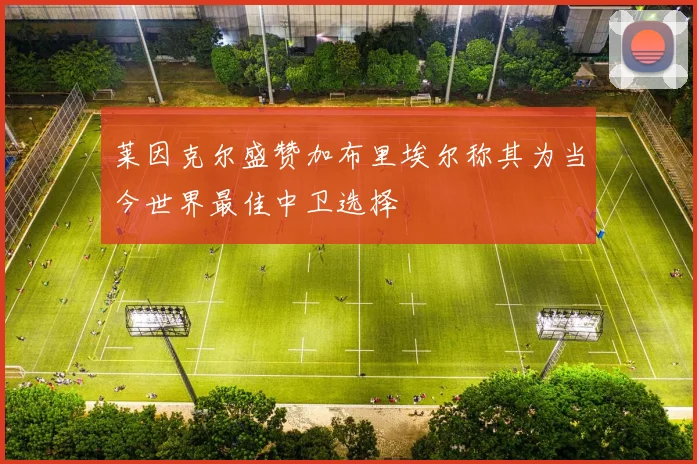 莱因克尔盛赞加布里埃尔称其为当今世界最佳中卫选择